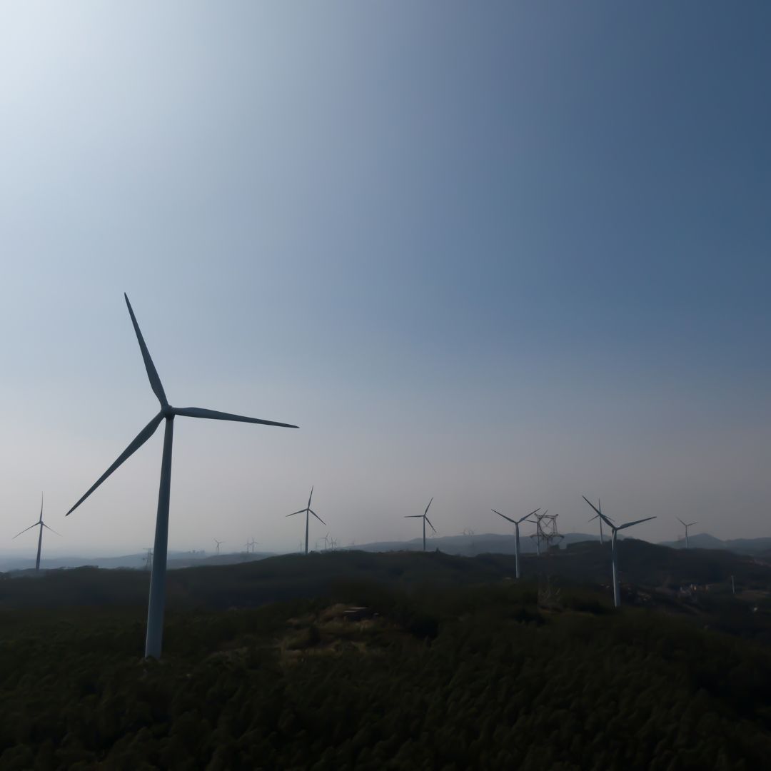 landscape of wind farm